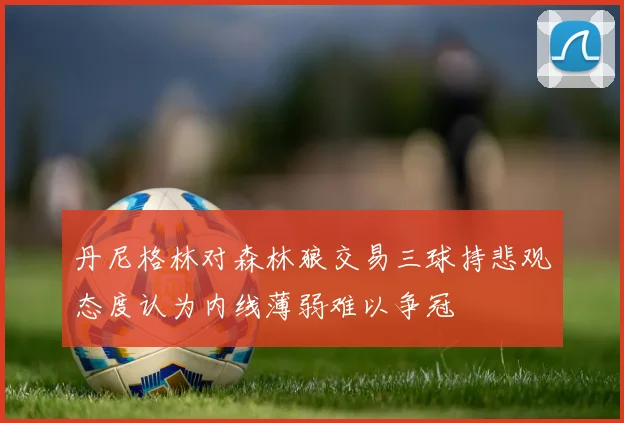 丹尼格林对森林狼交易三球持悲观态度认为内线薄弱难以争冠